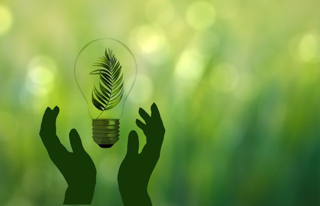 green transition