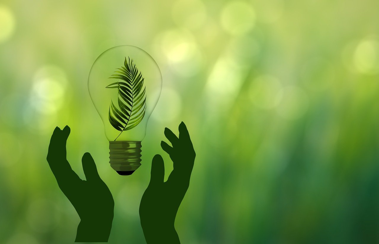 green transition